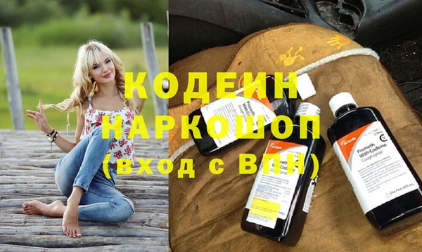 шишки Мегион