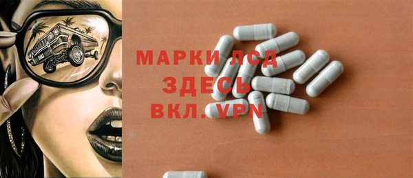 шишки Мегион