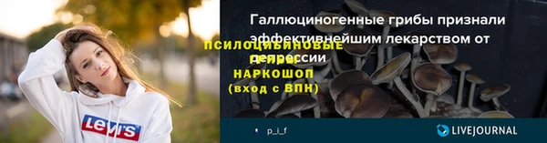 альфа пвп Медногорск