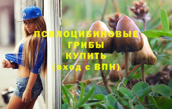 альфа пвп Медногорск