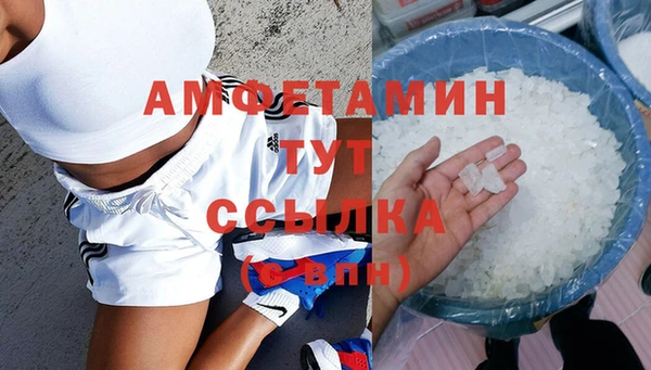 шишки Мегион