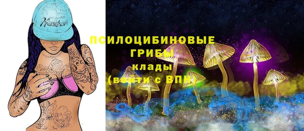 хмурый Михайлов