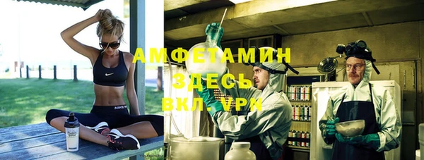 шишки Мегион