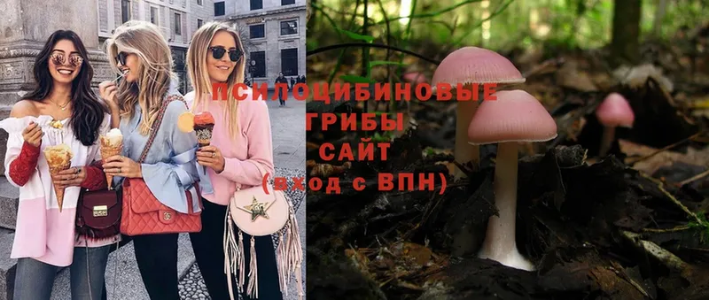 Псилоцибиновые грибы Psilocybe  blacksprut зеркало  Малая Вишера 