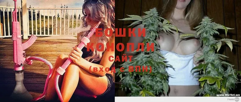 Конопля SATIVA & INDICA  Малая Вишера 